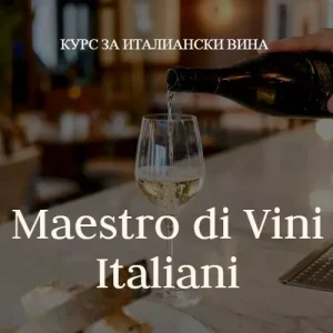 Курс Maestro di Vini Italiani